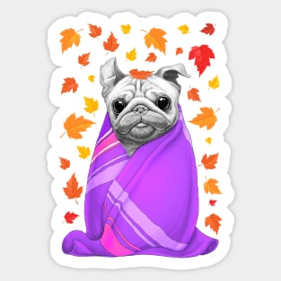 Autumn pug Sticker